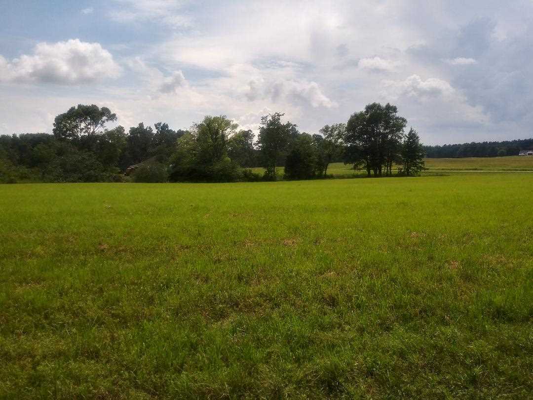 380 Bethlehem Road Adamsville, TN 38310 - Photo 8 of 12 Gallery Image 8