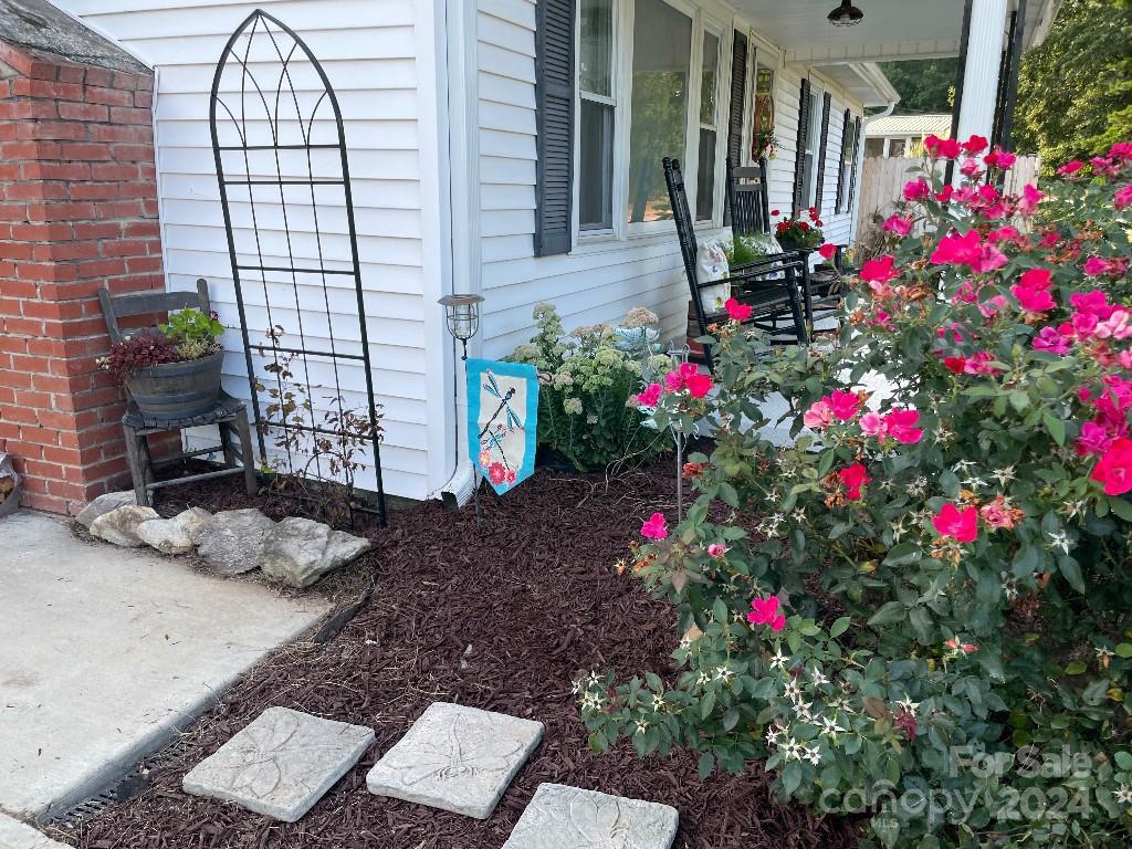1329 Peach Orchard Road Union, SC 29379 - Photo 3 of 15 a flower plants sitting in front of a house
