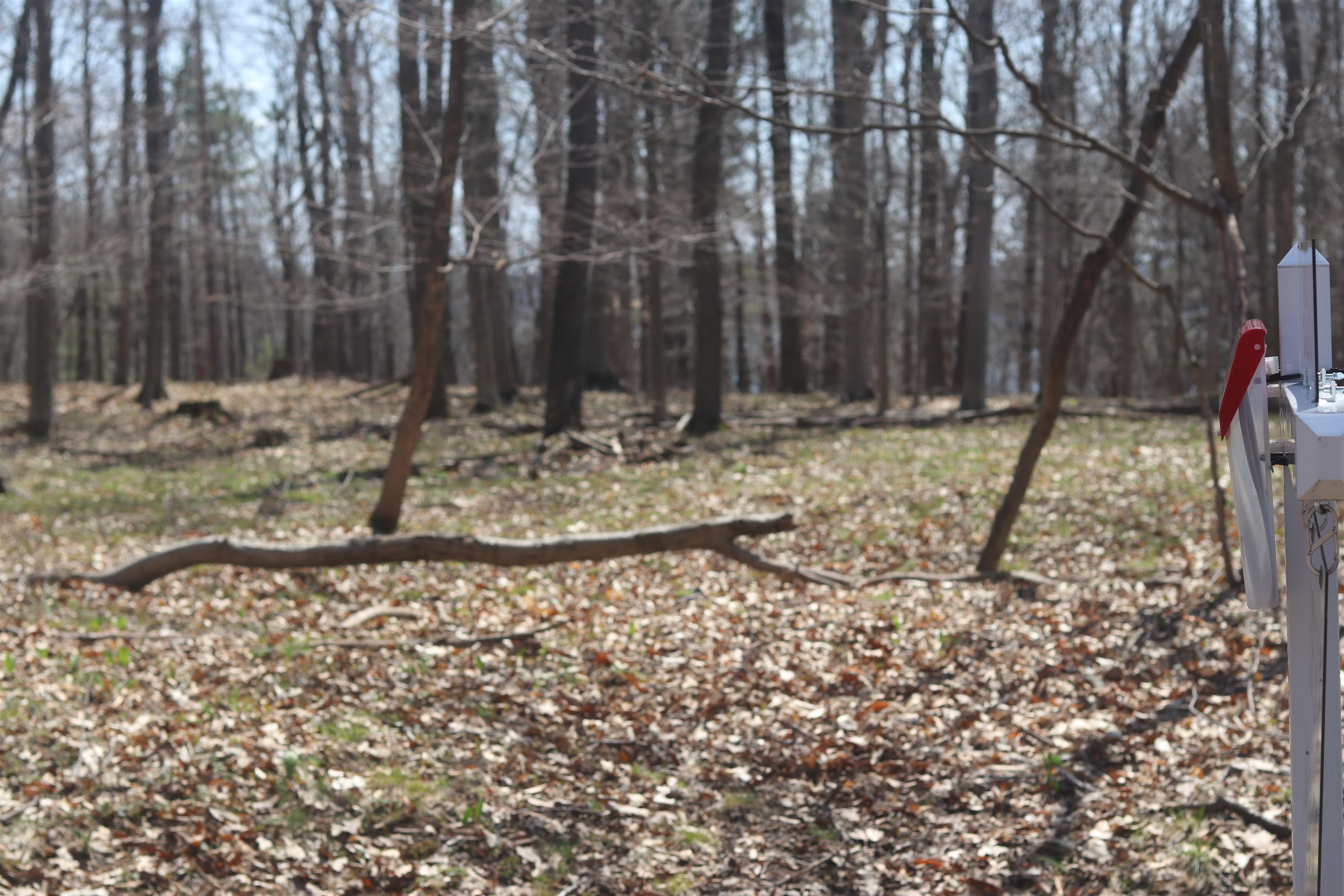 Lot 5 Crystal View Common Frankfort, MI 49635 - Photo 13 of 15