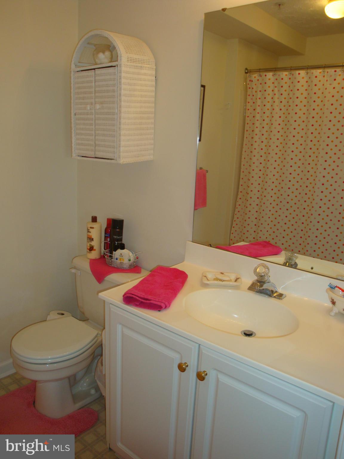 5334 Millfield Road, Unit 5332 Baltimore, MD 21237 - Photo 19 of 30 Bath (Master)