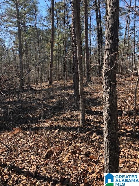 0 Pleasant Valley Road, Unit 1 Jacksonville, AL 36265 - Photo 12 of 24