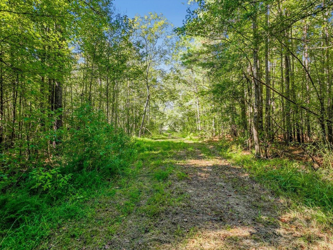 667 Emerson Cook Road Pittsboro, NC 27312 - Photo 4 of 24 Photo 4