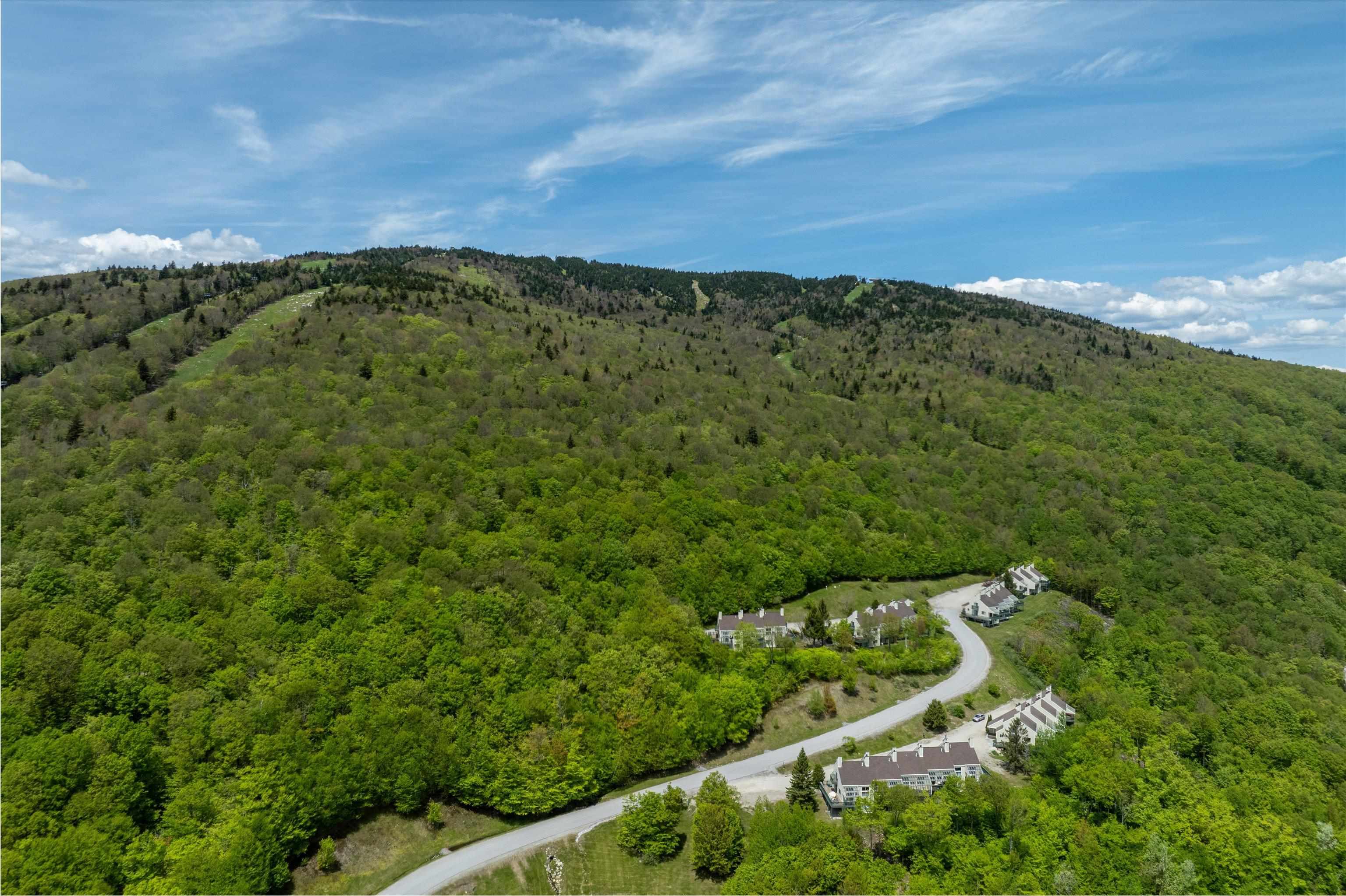 182 Okemo Trailside Extension, Unit 42D Ludlow, VT 05149 - Photo 51 of 55