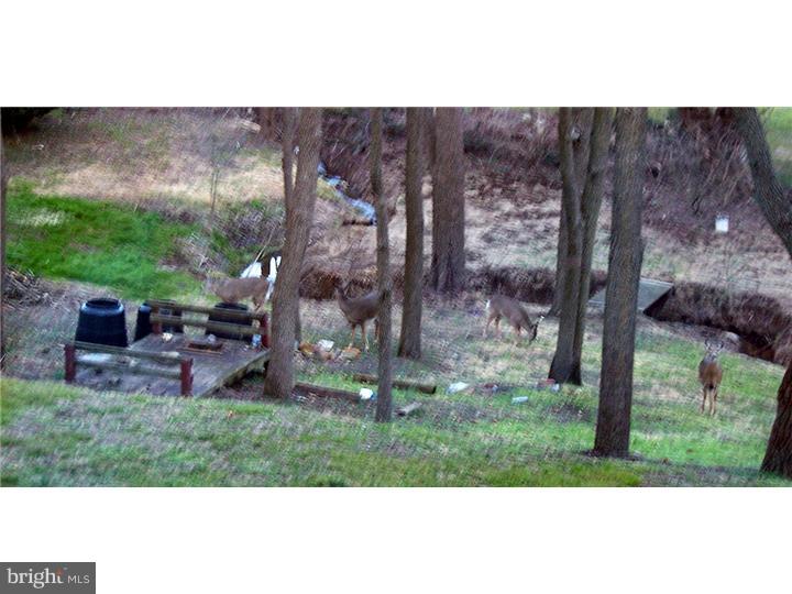 1323 Wynewood Road Orefield, PA 18069 - Photo 23 of 25 Back Yard