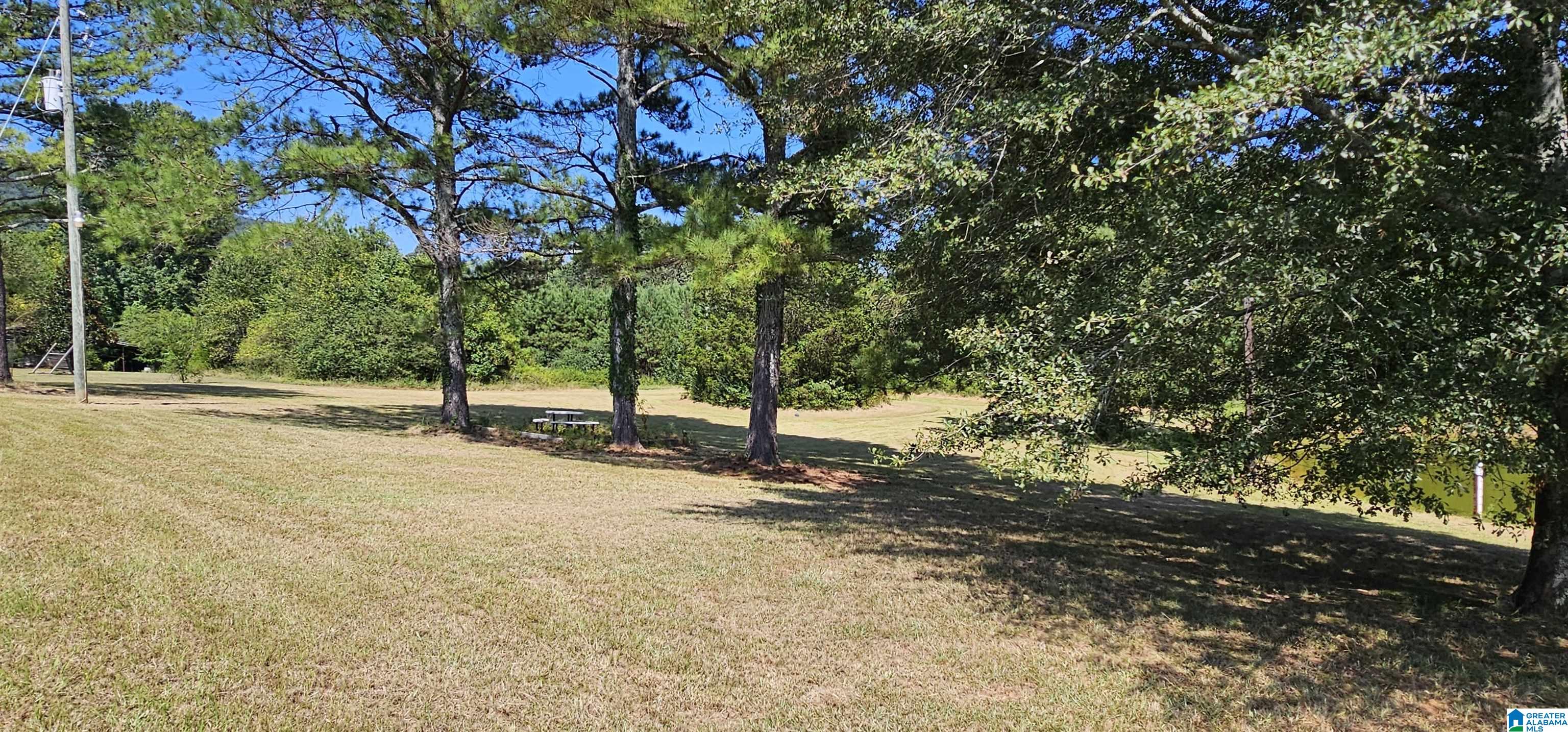 1218 Beason Cove Road Steele, AL 35987 - Photo 10 of 20