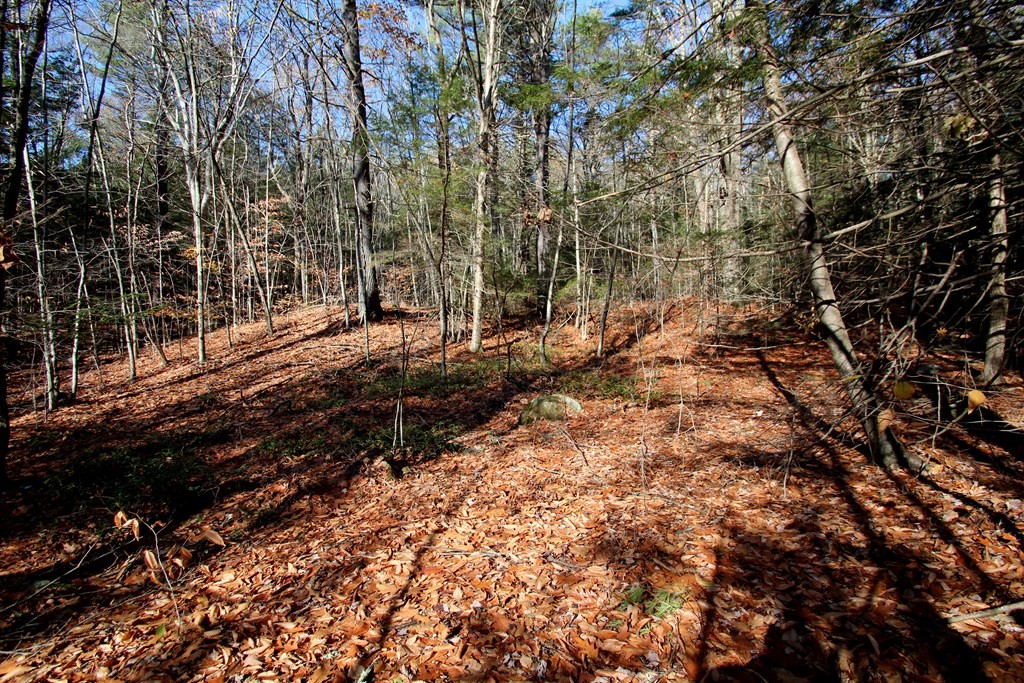 0 Lockes Village Road Wendell, MA 01379 - Photo 6 of 14 Gallery Image 6