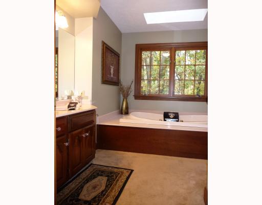 464 Hollow Road Darlington, PA 16115 - Photo 11 of 18 Master Bath/Spa. Master bathroom on first floor - Corian countertop and around jet tub. Seperate shower stall; Skylight overhead.