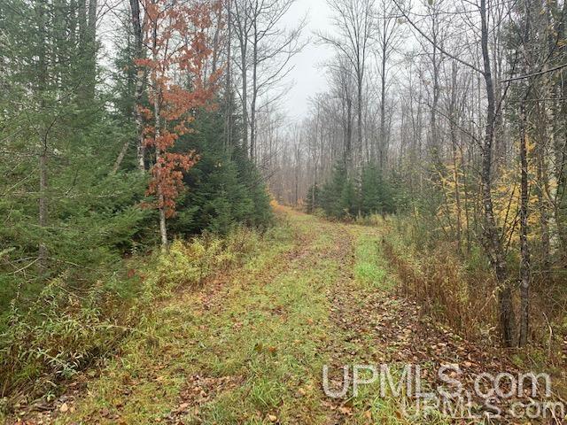 Tbd Diffin Road Trenary, MI 49891 - Photo 2 of 10 Gallery Image 2