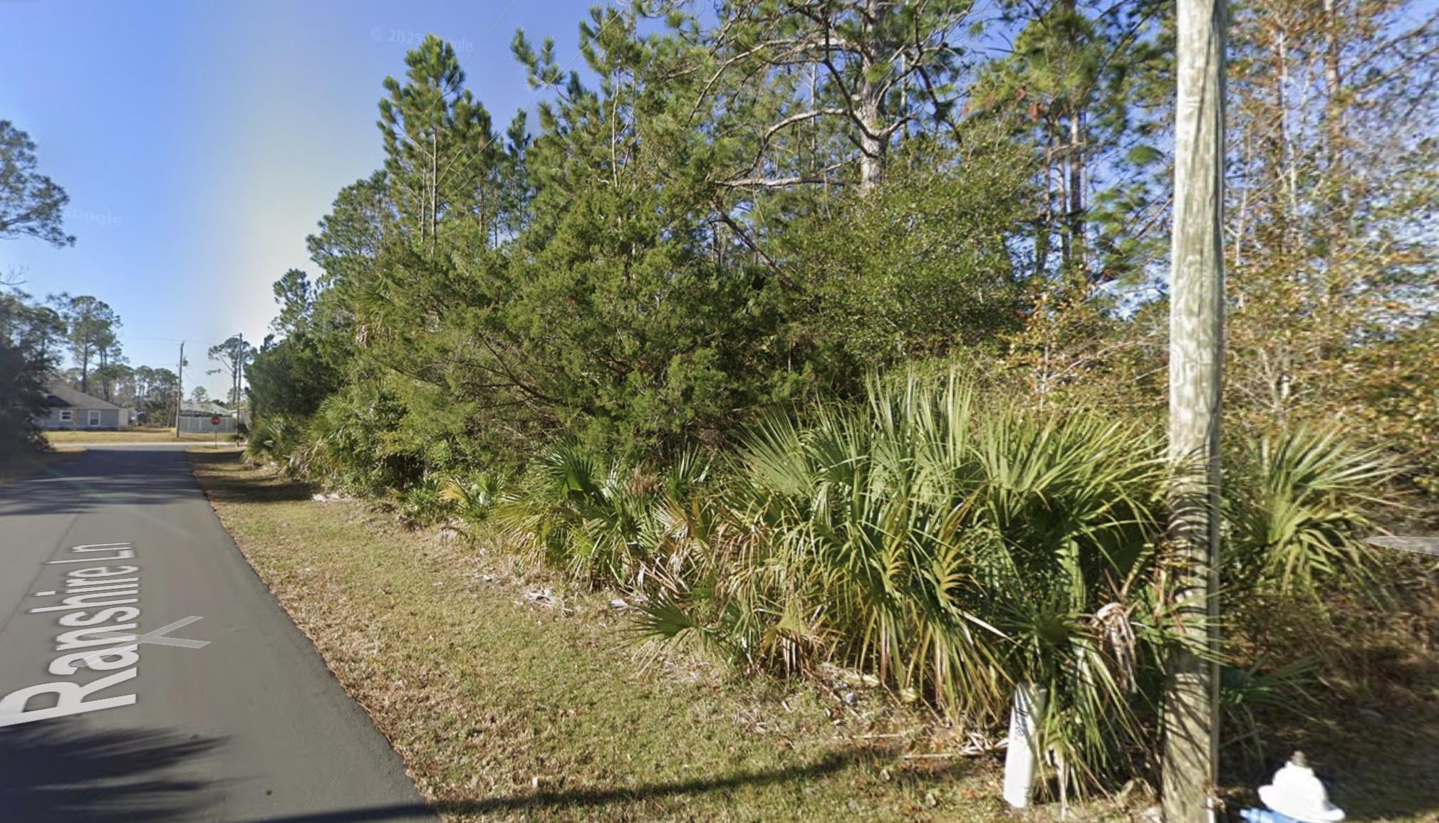3 Ranshire Lane Palm Coast, FL 32164 - Photo 4 of 11 a view of a yard