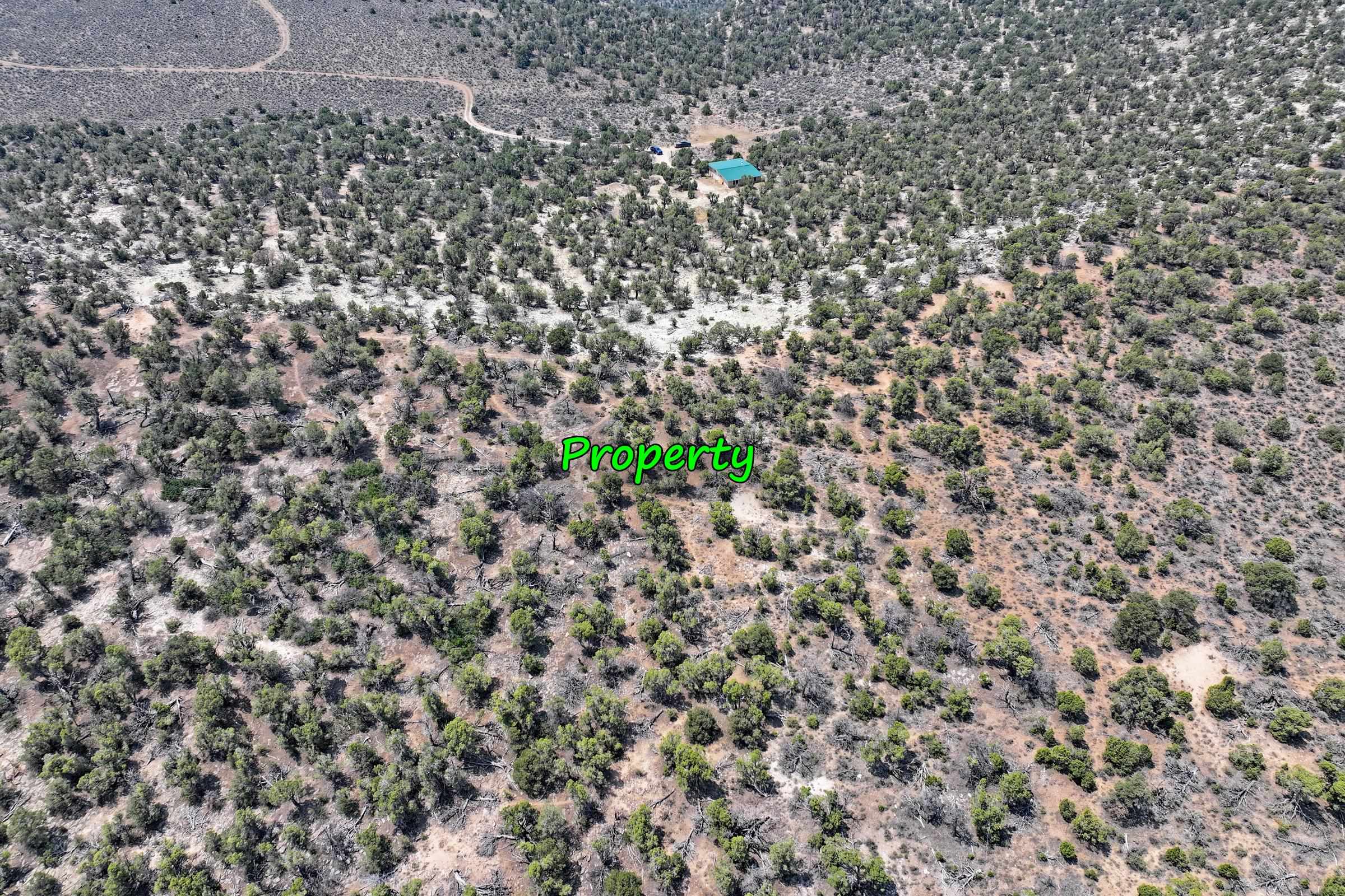 1775 35 1/10 Road De Beque, CO 81630 - Photo 13 of 36