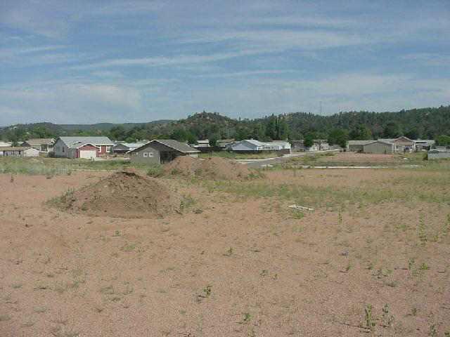 60 Houston Creek Landing Payson, AZ 85541 - Photo 1 of 5 Primary Photo