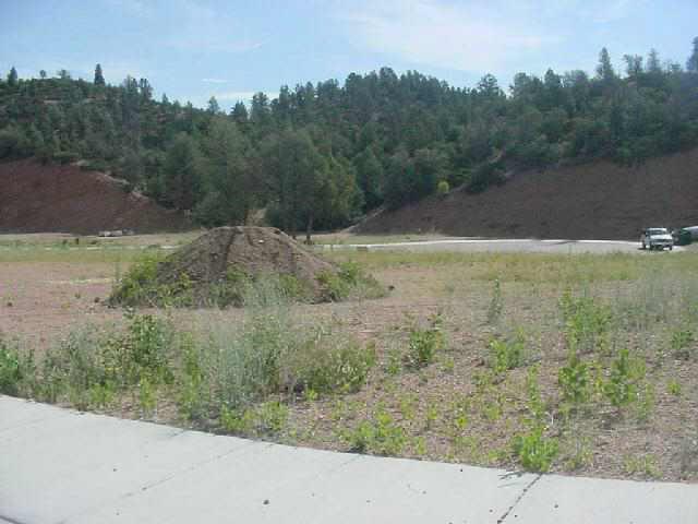 60 Houston Creek Landing Payson, AZ 85541 - Photo 3 of 5 Additional Photo