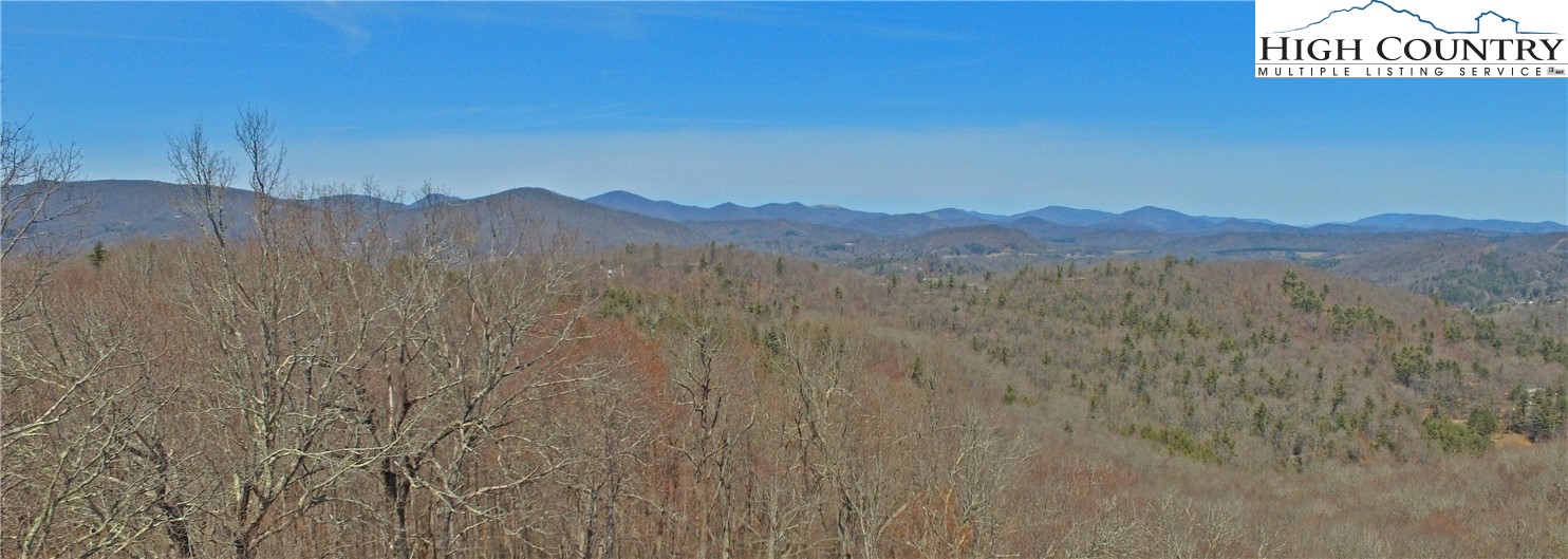 239 Sunny Acres Overlook Boone, NC 28607 - Photo 3 of 14 Gallery Image 3