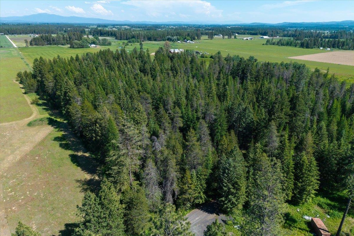 4668 Williams Valley Road Clayton, WA 99110 - Photo 43 of 44