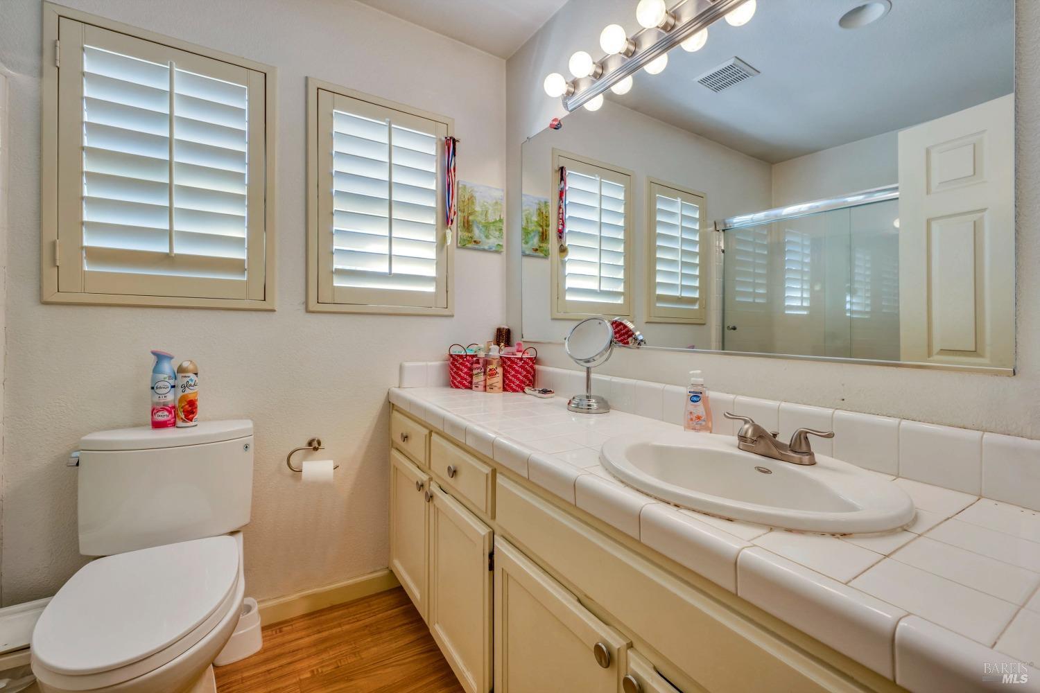 921 Chiles Avenue St. Helena, CA 94574 - Photo 15 of 20 a bathroom with a sink a toilet and a mirror