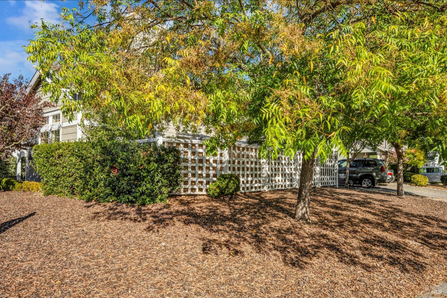 921 Chiles Avenue St. Helena, CA 94574 - Photo 20 of 20 a backyard of a house with lots of green space