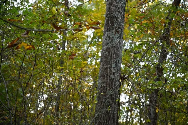 $249,000 | 21395 South 725 Road, Stockton, MO 65785