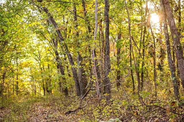 $249,000 | 21395 South 725 Road, Stockton, MO 65785