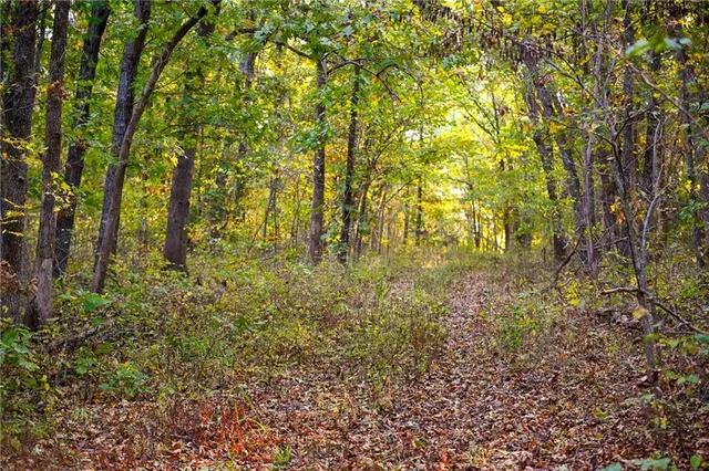 $249,000 | 21395 South 725 Road, Stockton, MO 65785