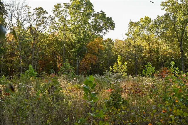 $249,000 | 21395 South 725 Road, Stockton, MO 65785