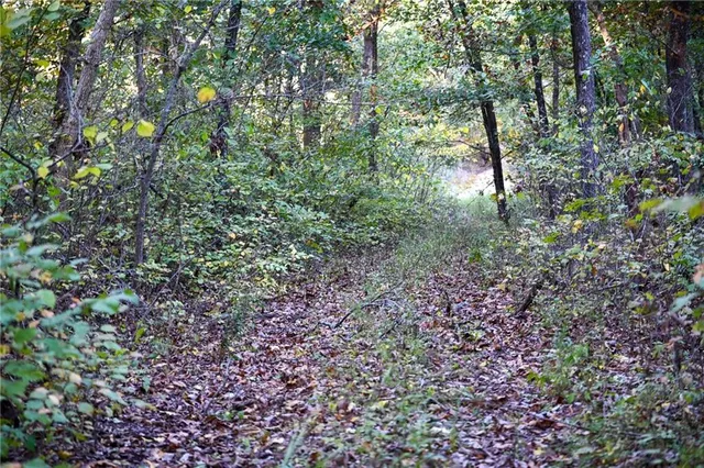 $249,000 | 21395 South 725 Road, Stockton, MO 65785