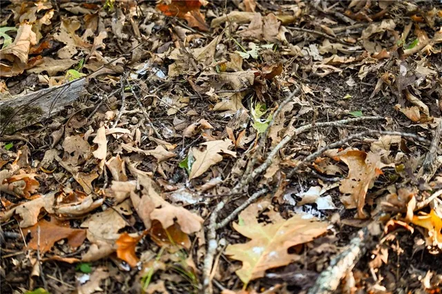 $249,000 | 21395 South 725 Road, Stockton, MO 65785