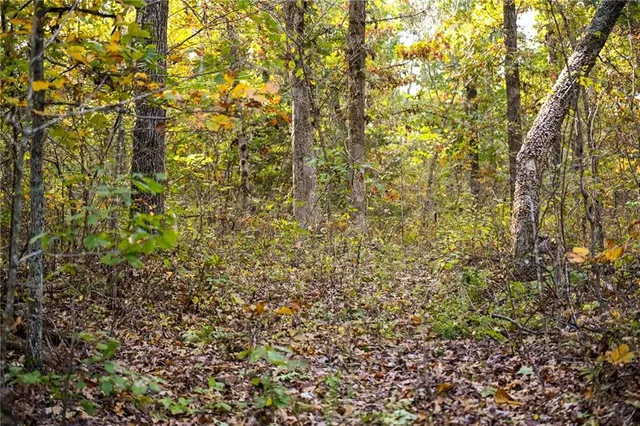 $249,000 | 21395 South 725 Road, Stockton, MO 65785