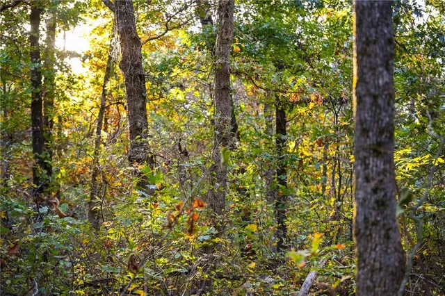 $249,000 | 21395 South 725 Road, Stockton, MO 65785