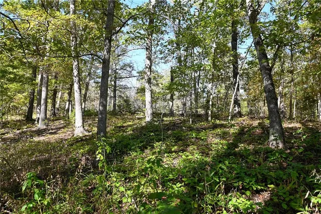 $249,000 | 21395 South 725 Road, Stockton, MO 65785