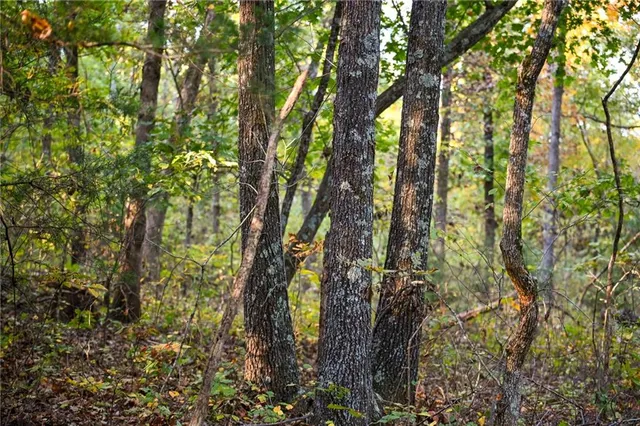 $249,000 | 21395 South 725 Road, Stockton, MO 65785