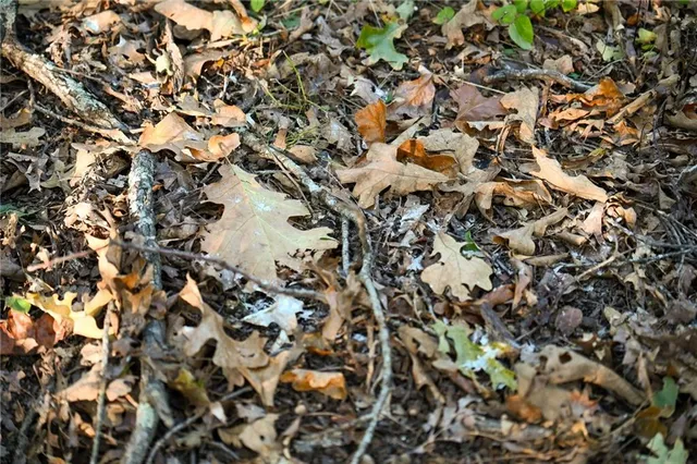 $249,000 | 21395 South 725 Road, Stockton, MO 65785