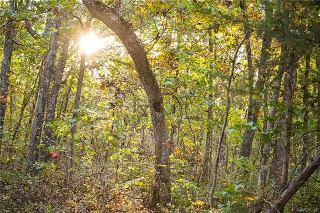 $249,000 | 21395 South 725 Road, Stockton, MO 65785