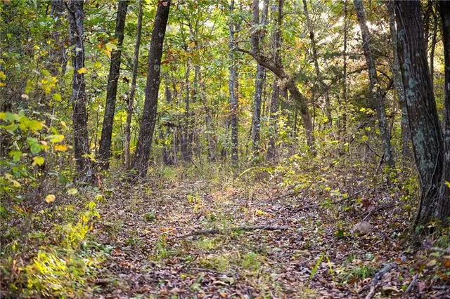 $249,000 | 21395 South 725 Road, Stockton, MO 65785