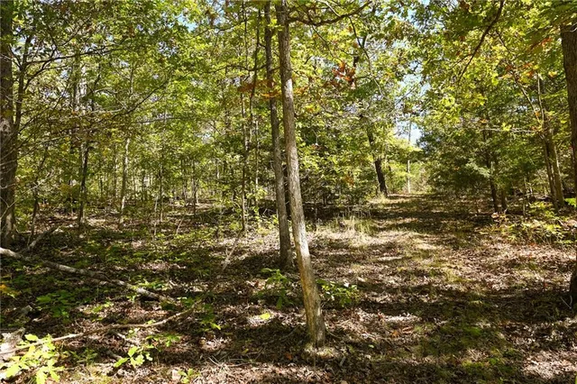 $249,000 | 21395 South 725 Road, Stockton, MO 65785