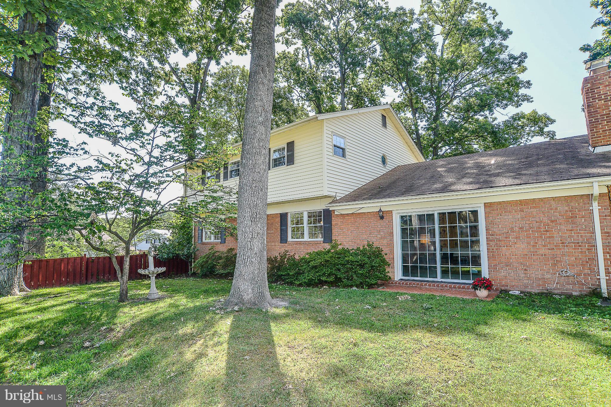 6000 Filbert Court Springfield, VA 22152 - Photo 21 of 21 a backyard of a house with plants and large tree