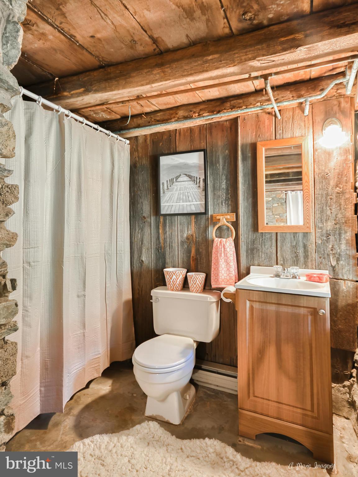13045 Glissans Mill Road Mount Airy, MD 21771 - Photo 11 of 30 Bath