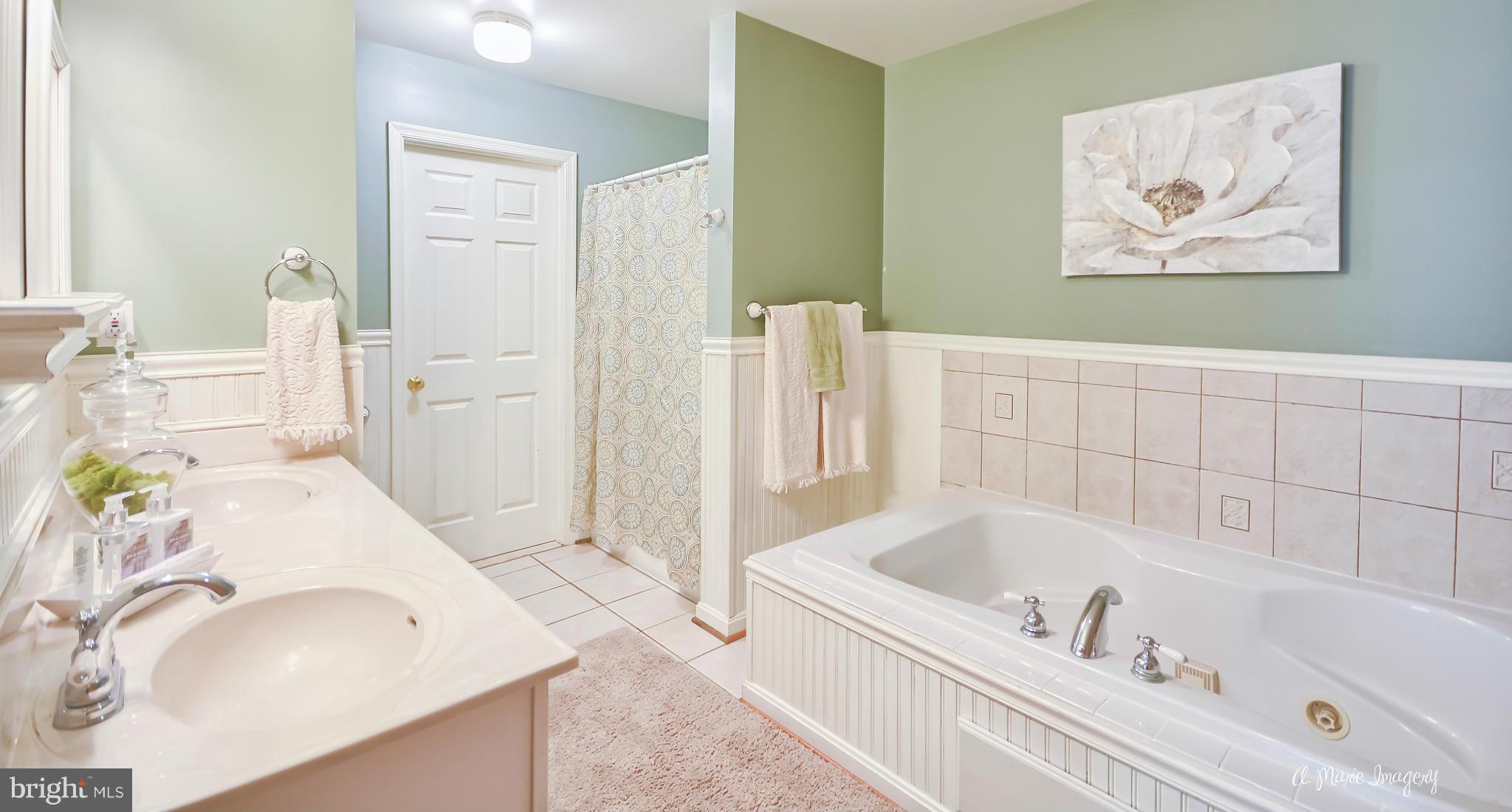 13045 Glissans Mill Road Mount Airy, MD 21771 - Photo 15 of 30 Bath (Master)