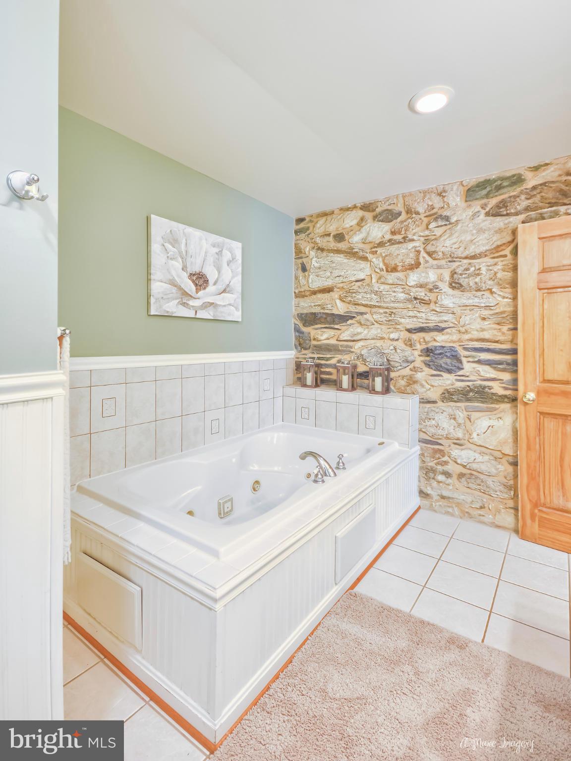 13045 Glissans Mill Road Mount Airy, MD 21771 - Photo 16 of 30 Bath (Master)