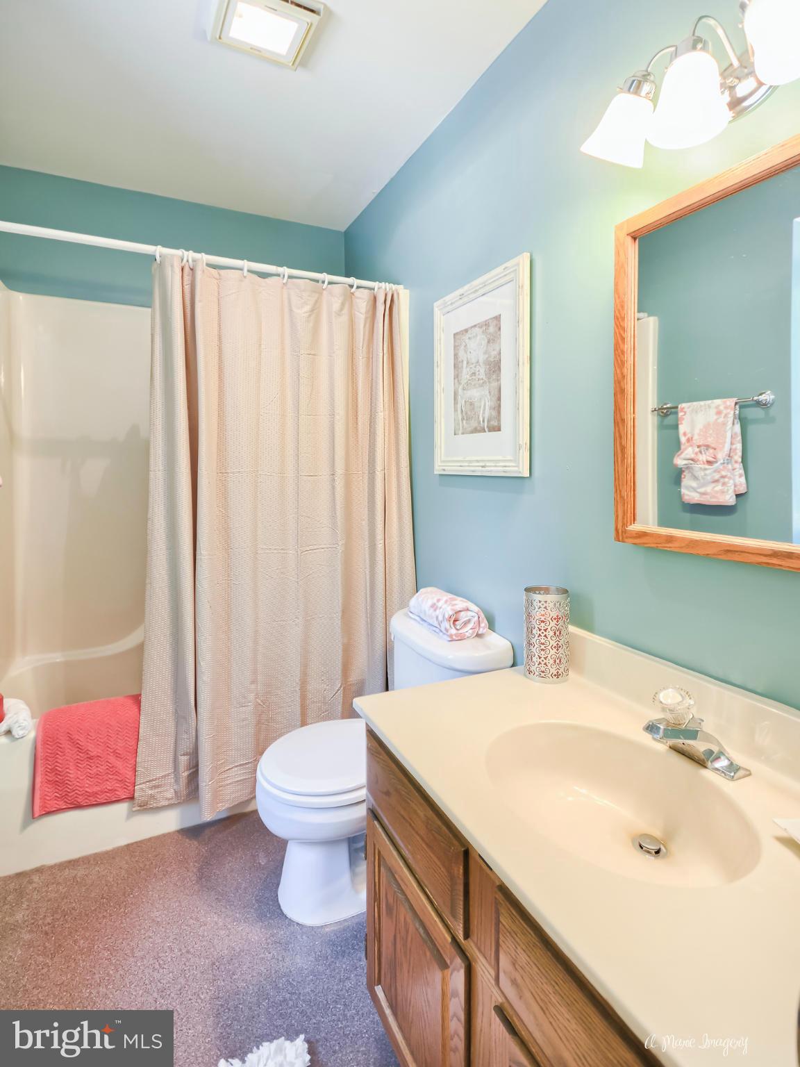 13045 Glissans Mill Road Mount Airy, MD 21771 - Photo 21 of 30 Bath