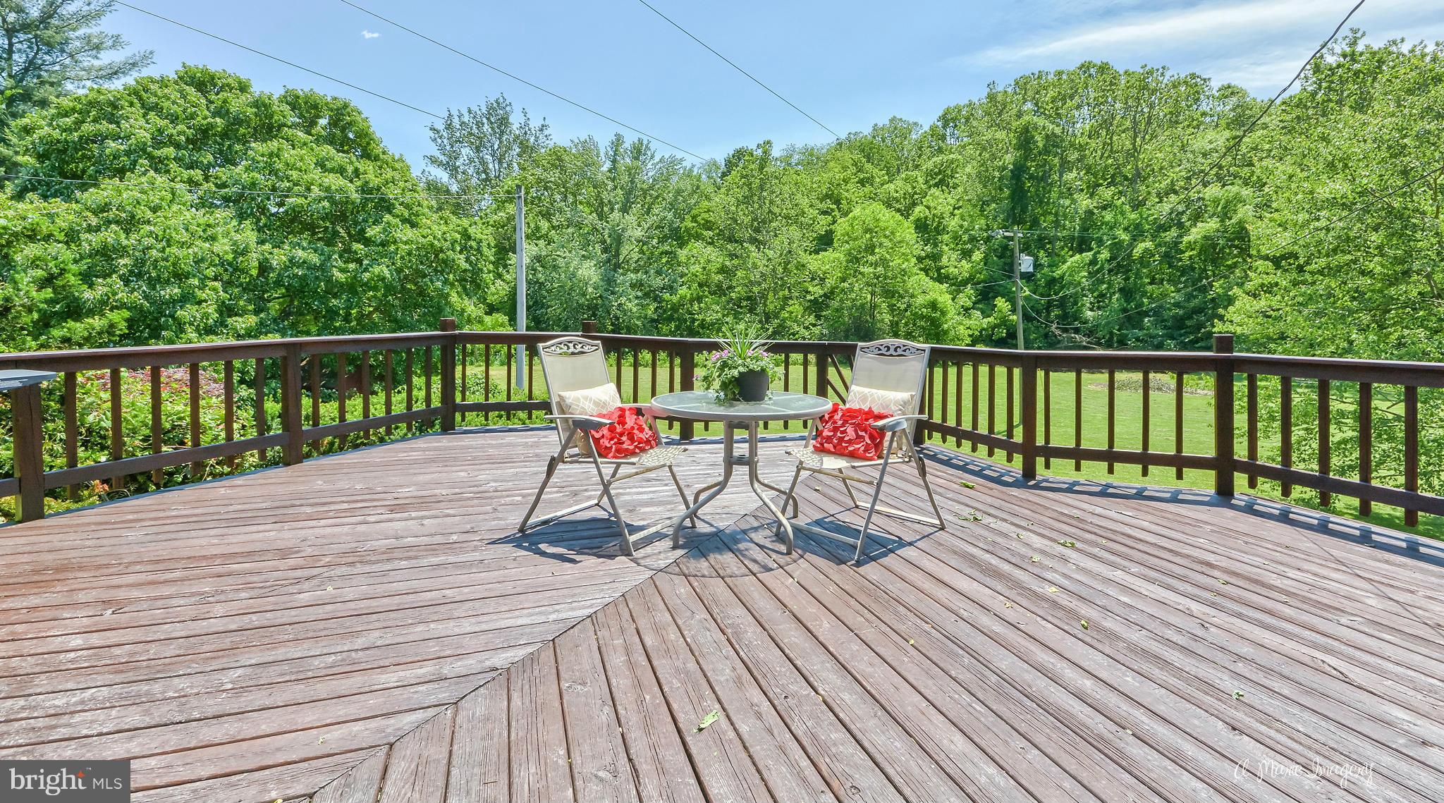 13045 Glissans Mill Road Mount Airy, MD 21771 - Photo 29 of 30 Exterior (Rear)