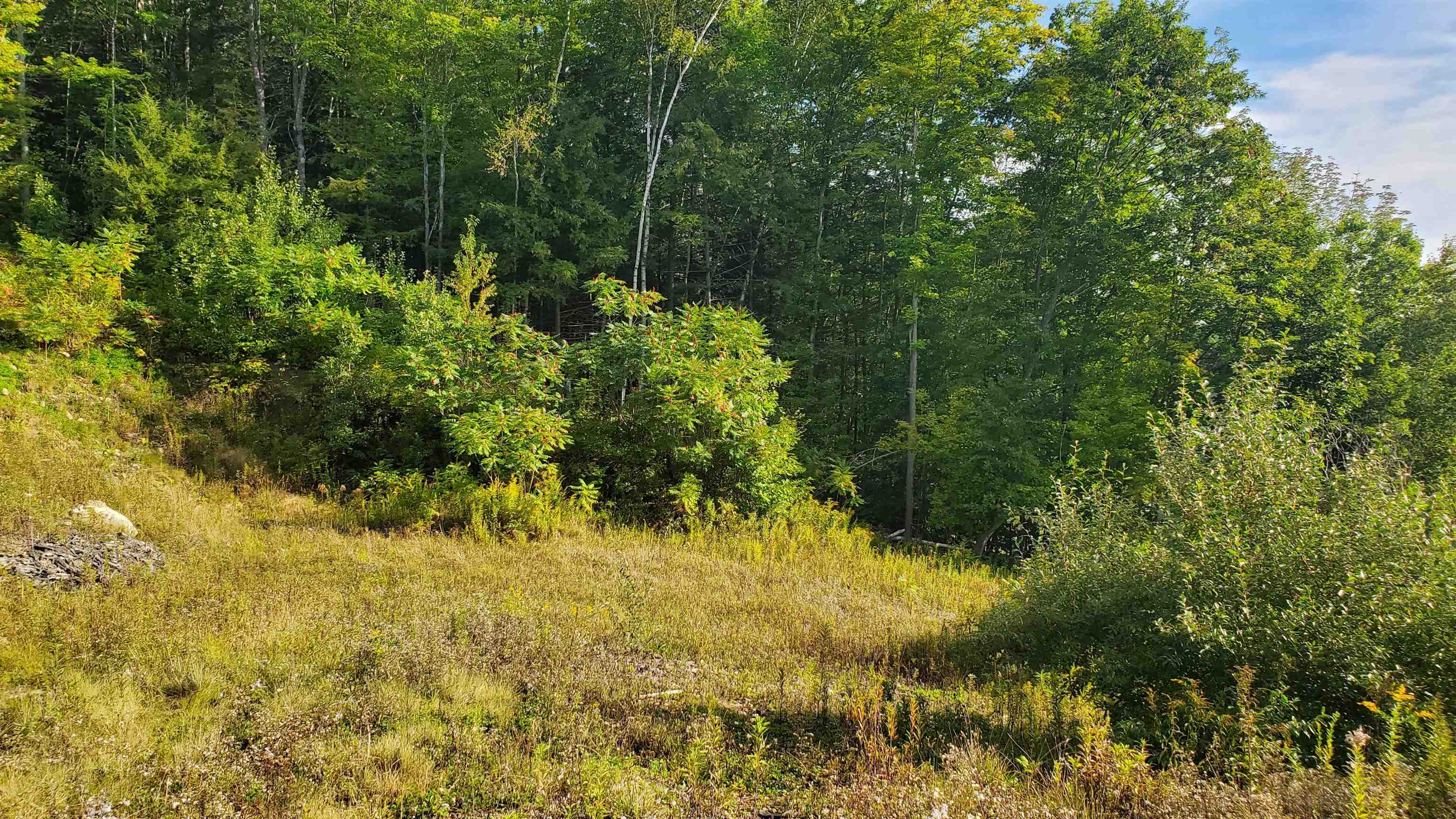 0 River Road Bristol, NH 03222 - Photo 7 of 9