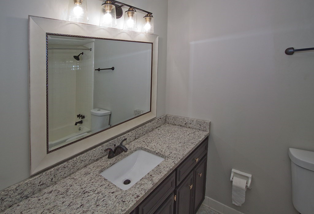 6838 Buckeye Way Columbus, GA 31904 - Photo 27 of 34 a bathroom with a granite countertop sink a toilet and shower