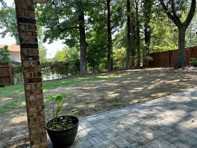 a view of a backyard with potted plants and large trees