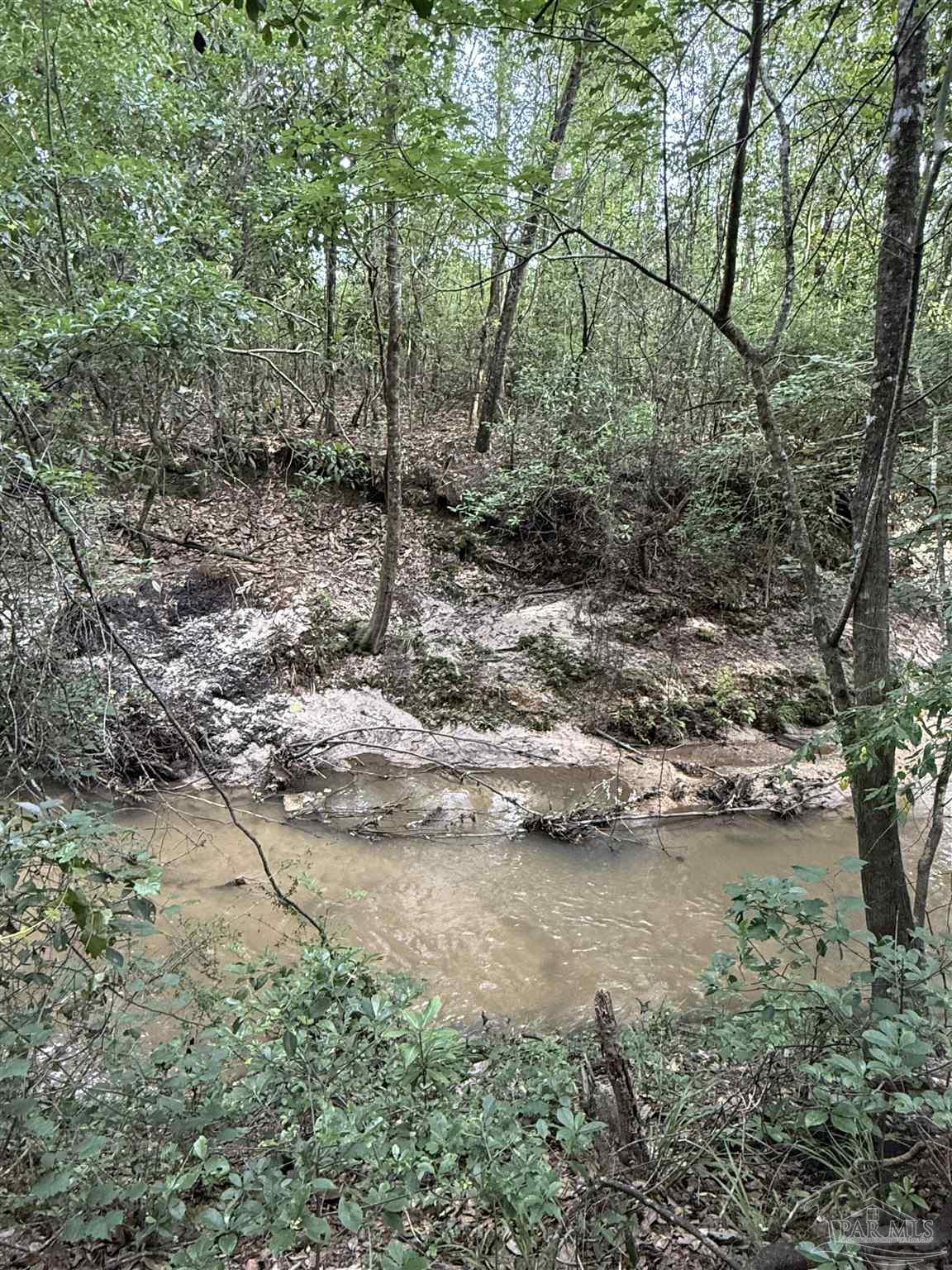 100 Mineral Springs Road Jay, FL 32565 - Photo 15 of 19 a view of a lake with trees