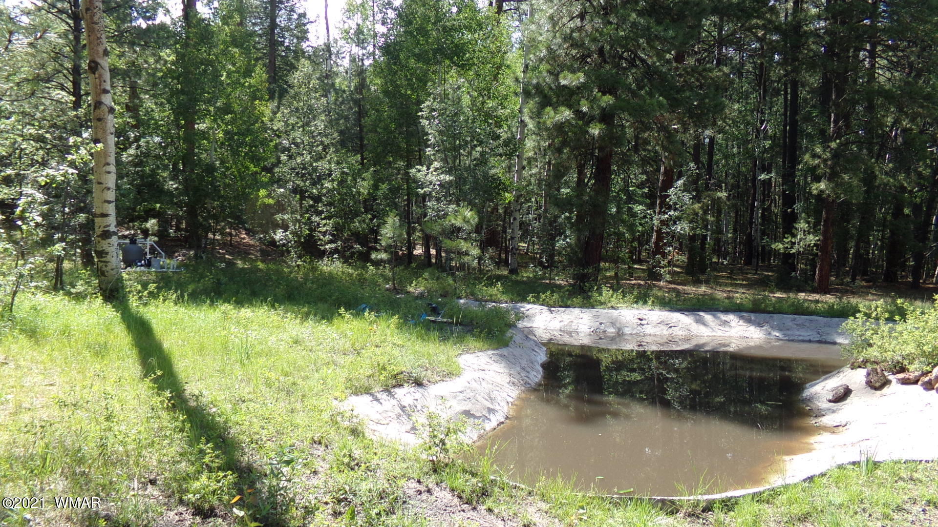 8 County Road 2134 Alpine, AZ 85920 - Photo 43 of 46