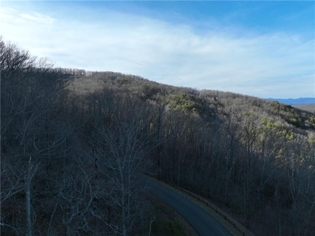 249 Andes Ridge Talking Rock, GA 30175 - Photo 10 of 20