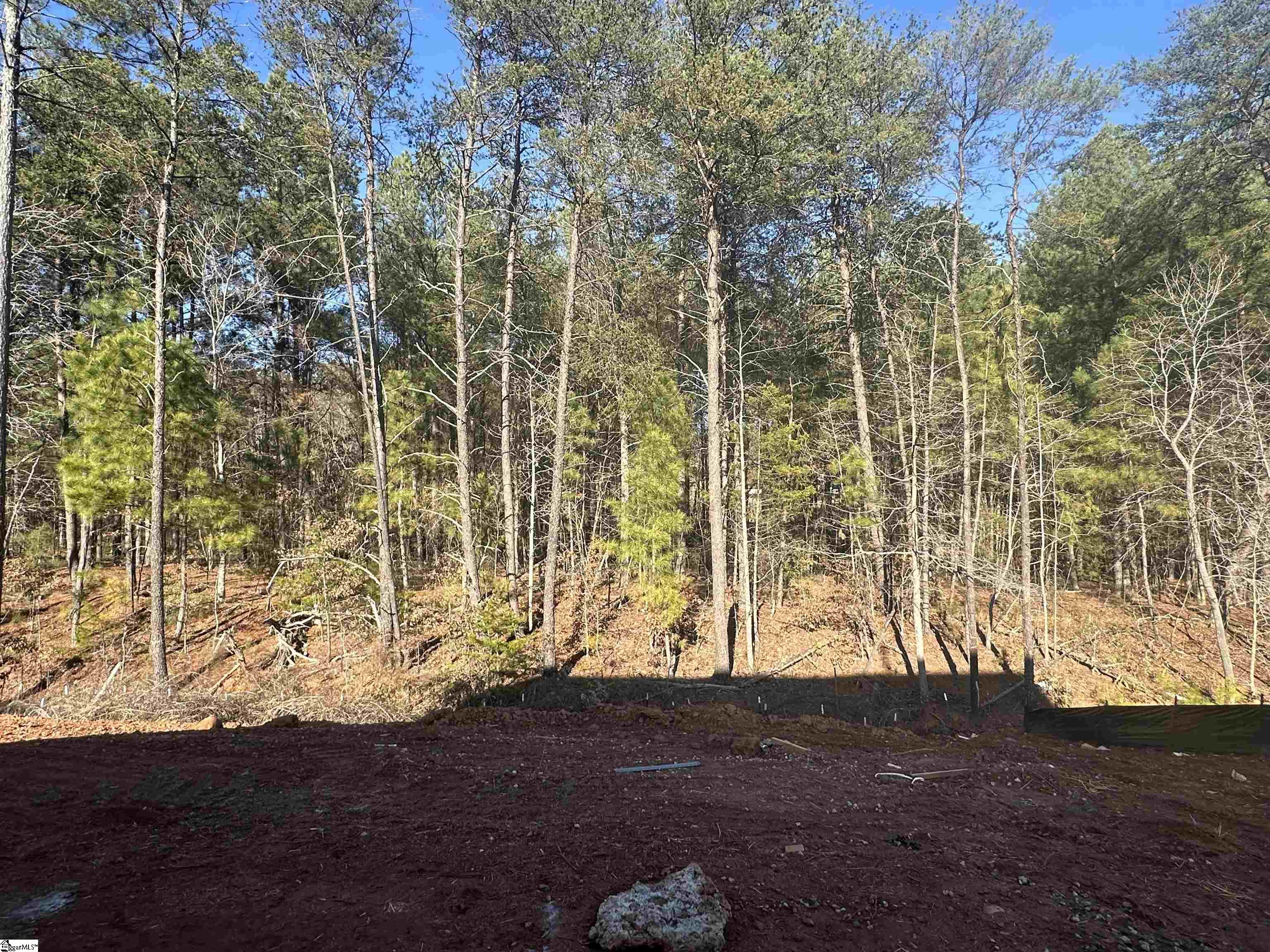 351 East Pyrenees Drive Lyman, SC 29365 - Photo 22 of 29