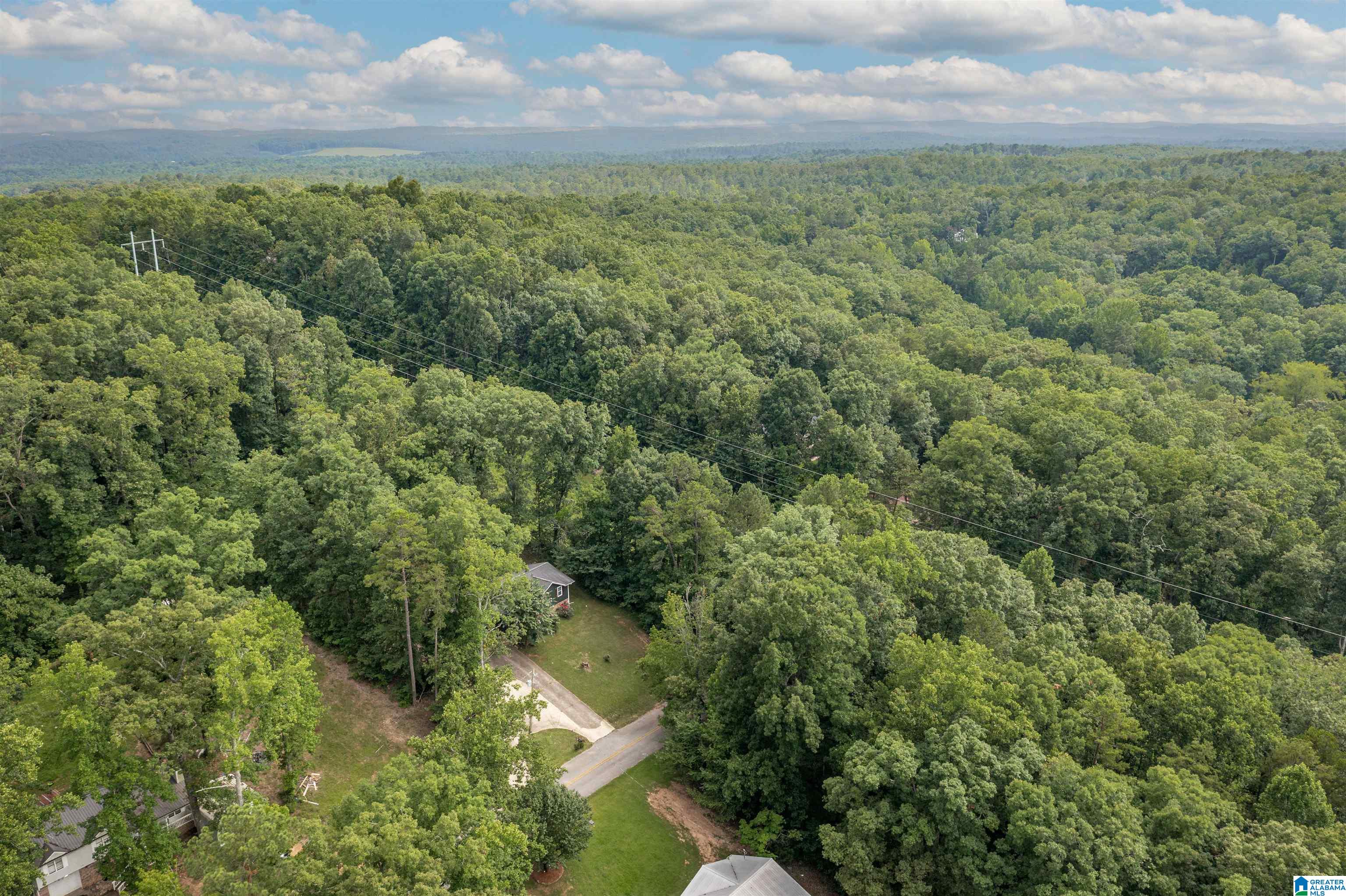 394 Stoney Way Alexandria, AL 36250 - Photo 29 of 30