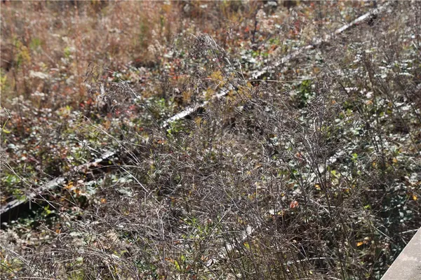 $1,200,000 | 5720 81st Highway, Starr, SC 29684