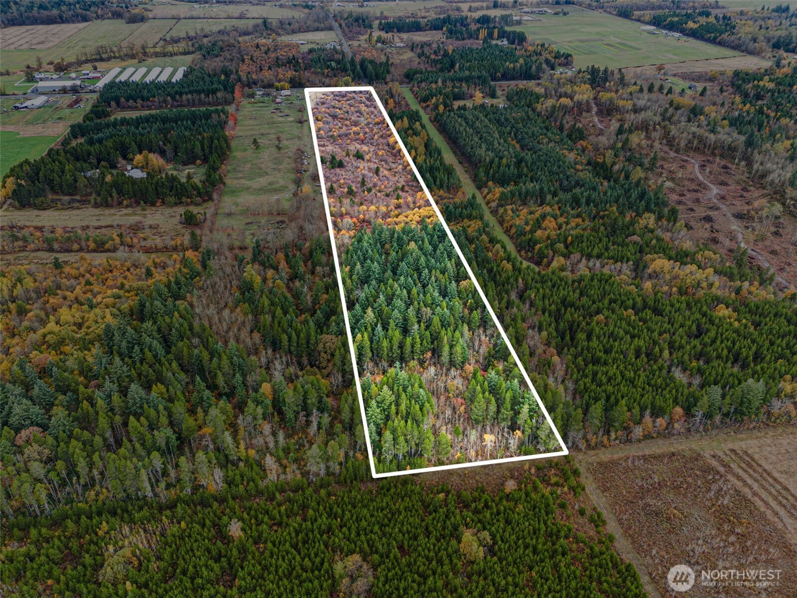 an aerial view of a backyard